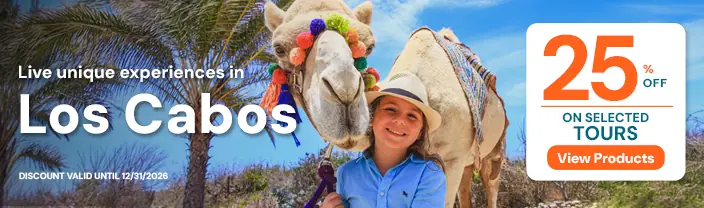 Banner Campaña
