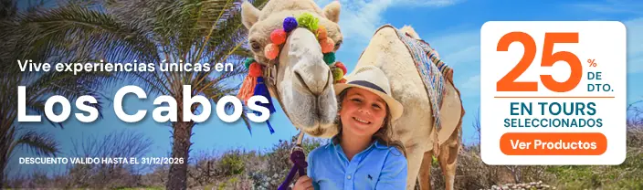 Banner Campaña