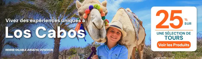 Banner Campaña
