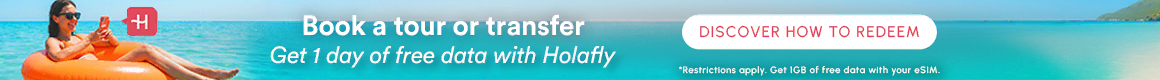Banner Campaña HolaFly