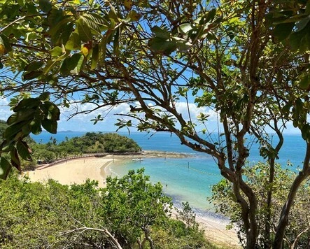 Beach in Brazil